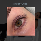 Online Beginner Lash Artistry